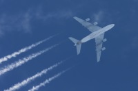 380-6.jpg