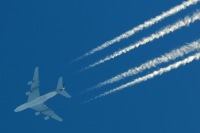 380-7.jpg