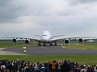 380-20.jpg